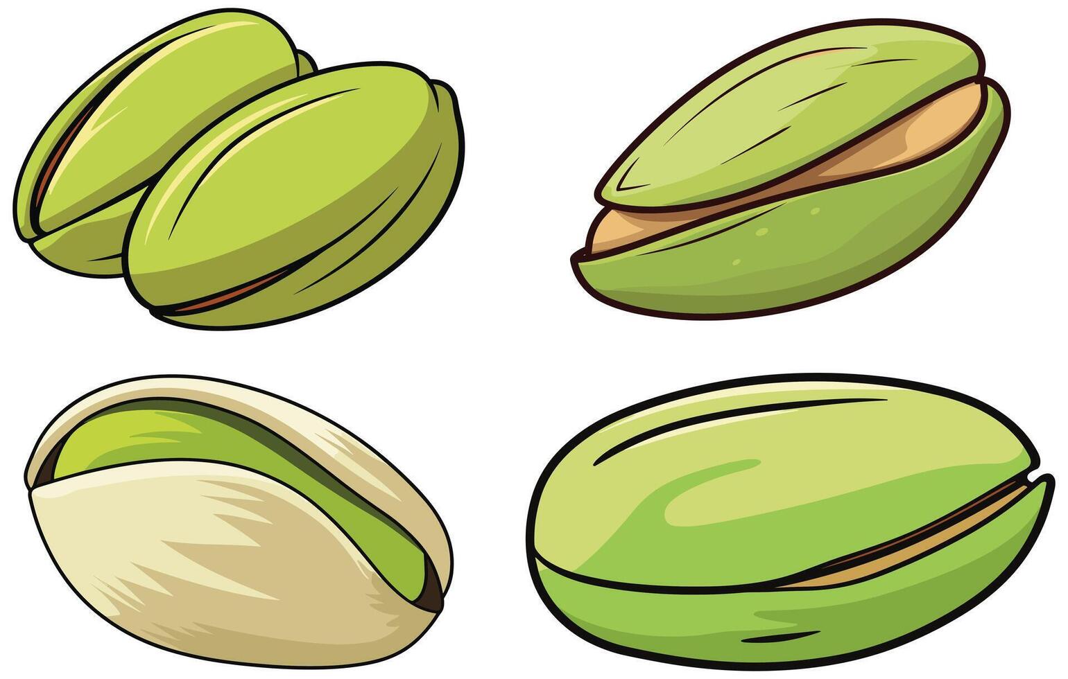 pistachio nut food vector. natural vegetarian pistachio nut food vector illustration