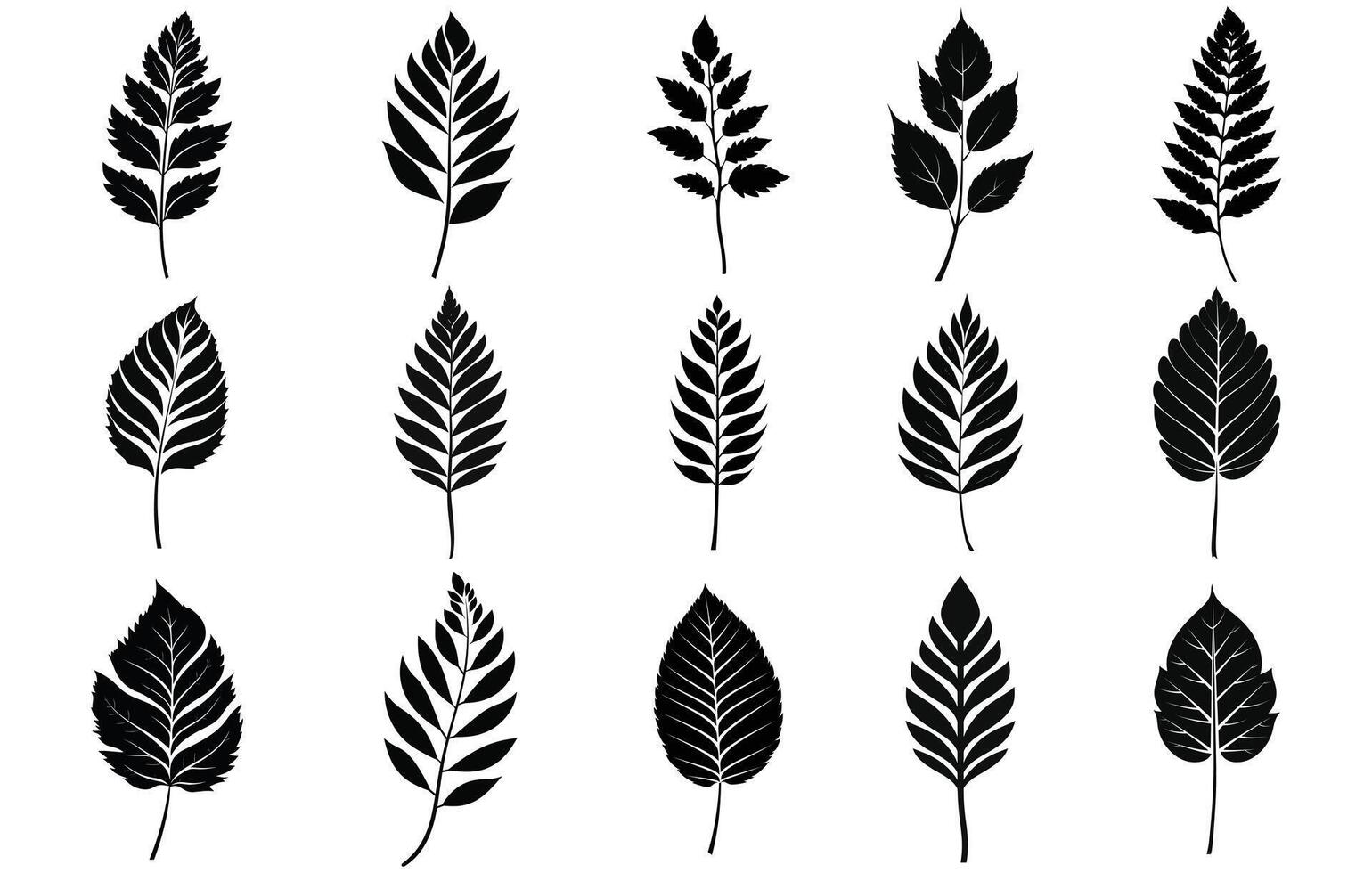 Birch leaf silhouettes, Birch tree branch with leaves. vector