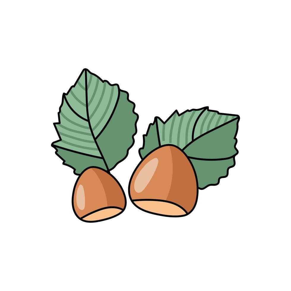 Hazelnut with leaf on white background. Nut in cartoon style vector