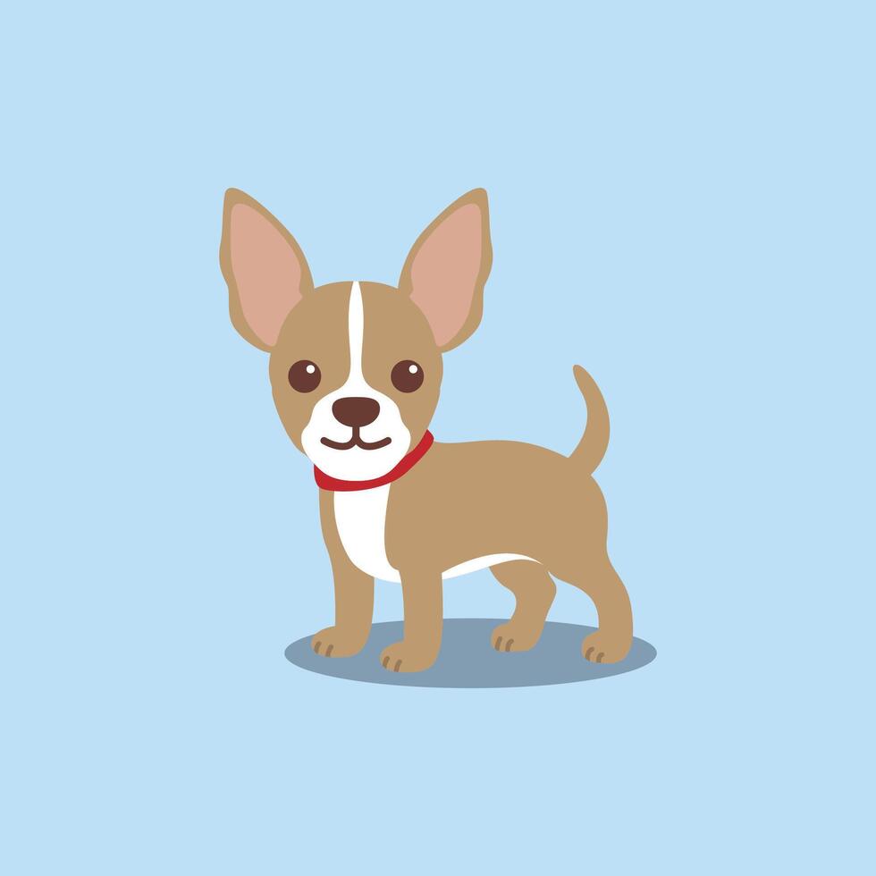 Cute chihuahua dog flat design, vector illustration
