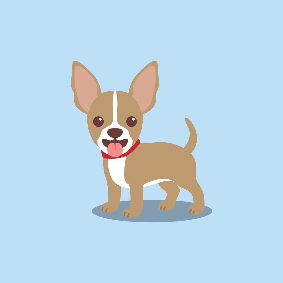 linda chihuahua perrito plano diseño, vector ilustración