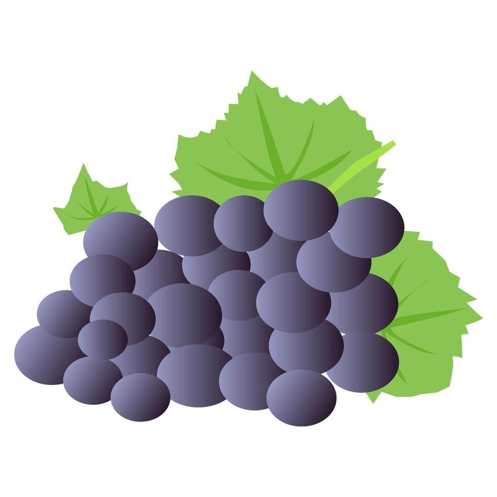 Purple grapes fruit vector cartoon illustration