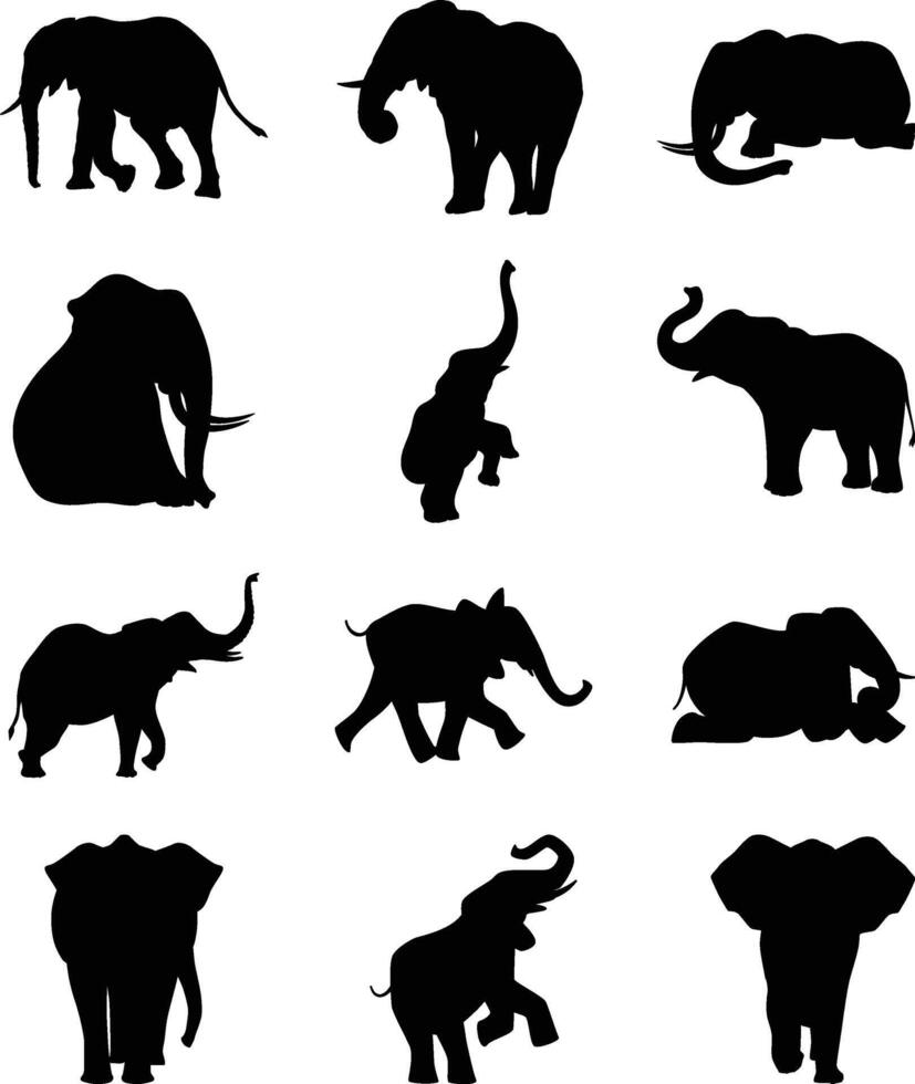 African elephants silhouette set vector illustration