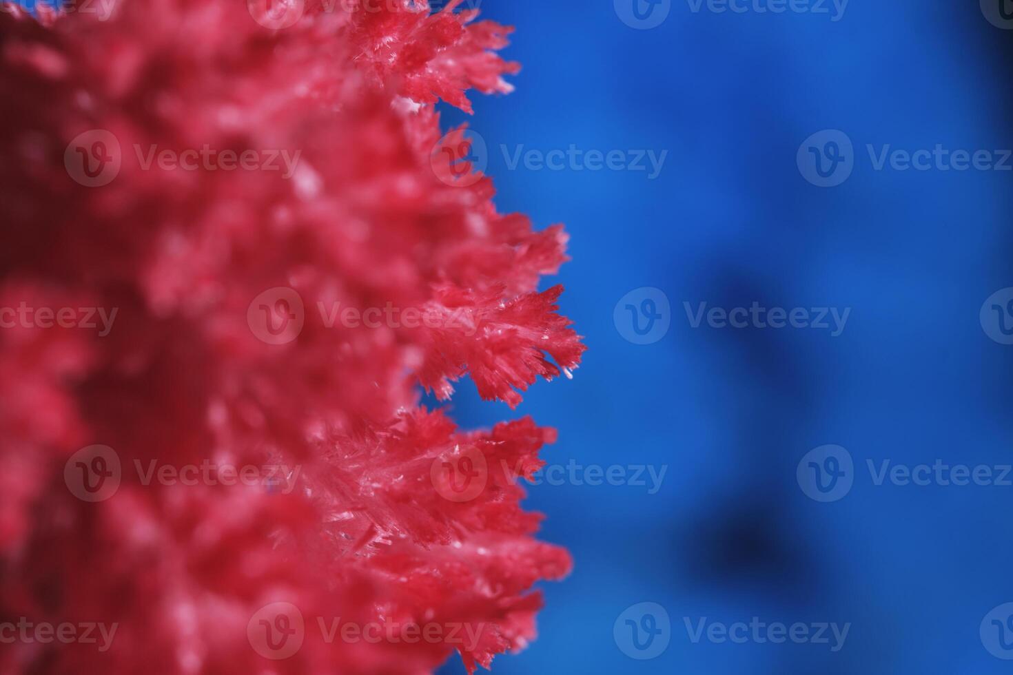 Macro image red salt crystal on blue background. photo