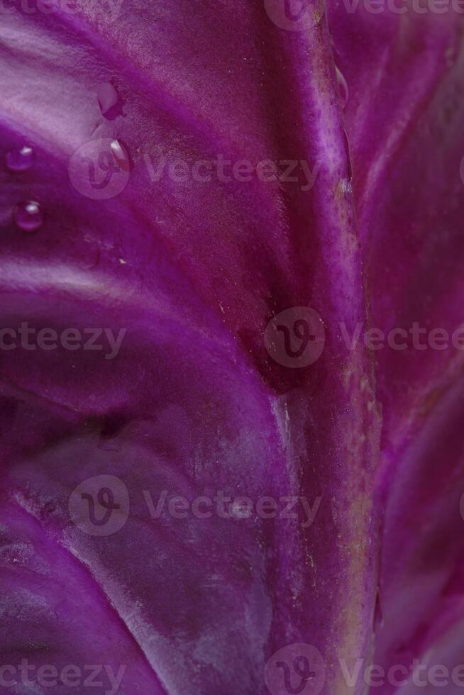 Background red cabbage leaf in closeup. photo