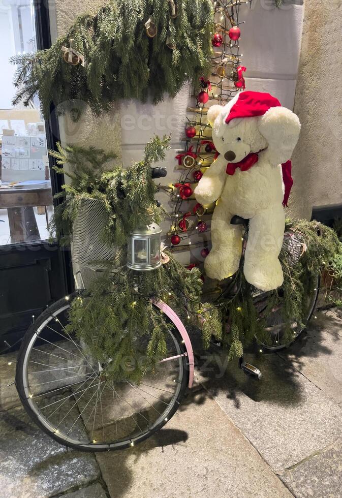 teddy bear on the bicycle photo