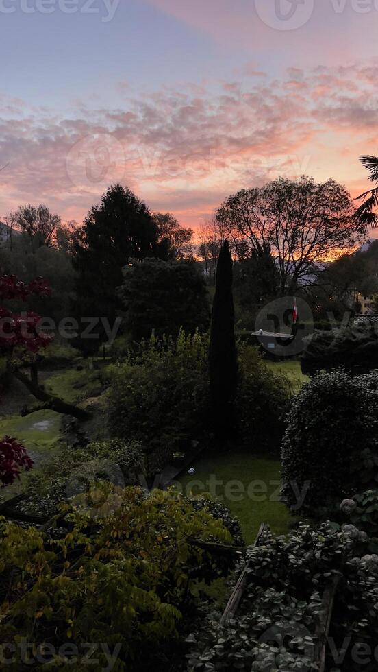 un hermosa puesta de sol terminado un jardín foto