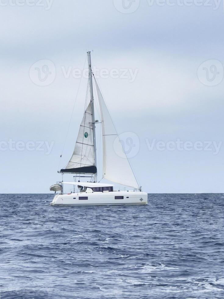 a catamaran sailing in the open ocean photo