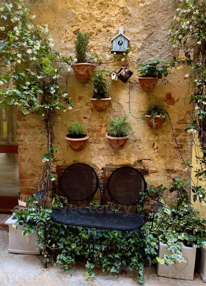 a bench sitting in front of a wall with plants on it photo