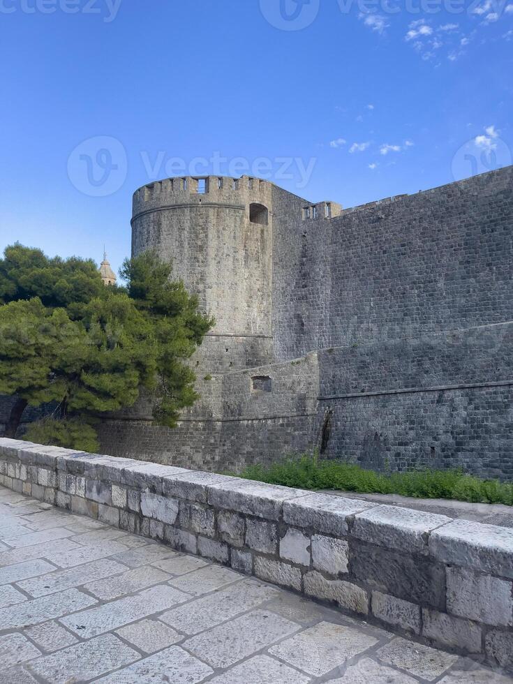 a stone wall with a stone gate and a tree photo