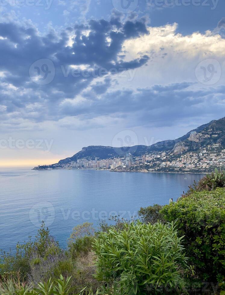 a view of the ocean and mountains from a hillside photo