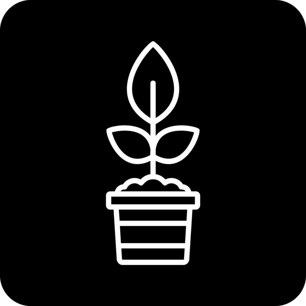 Plant Vector Icon