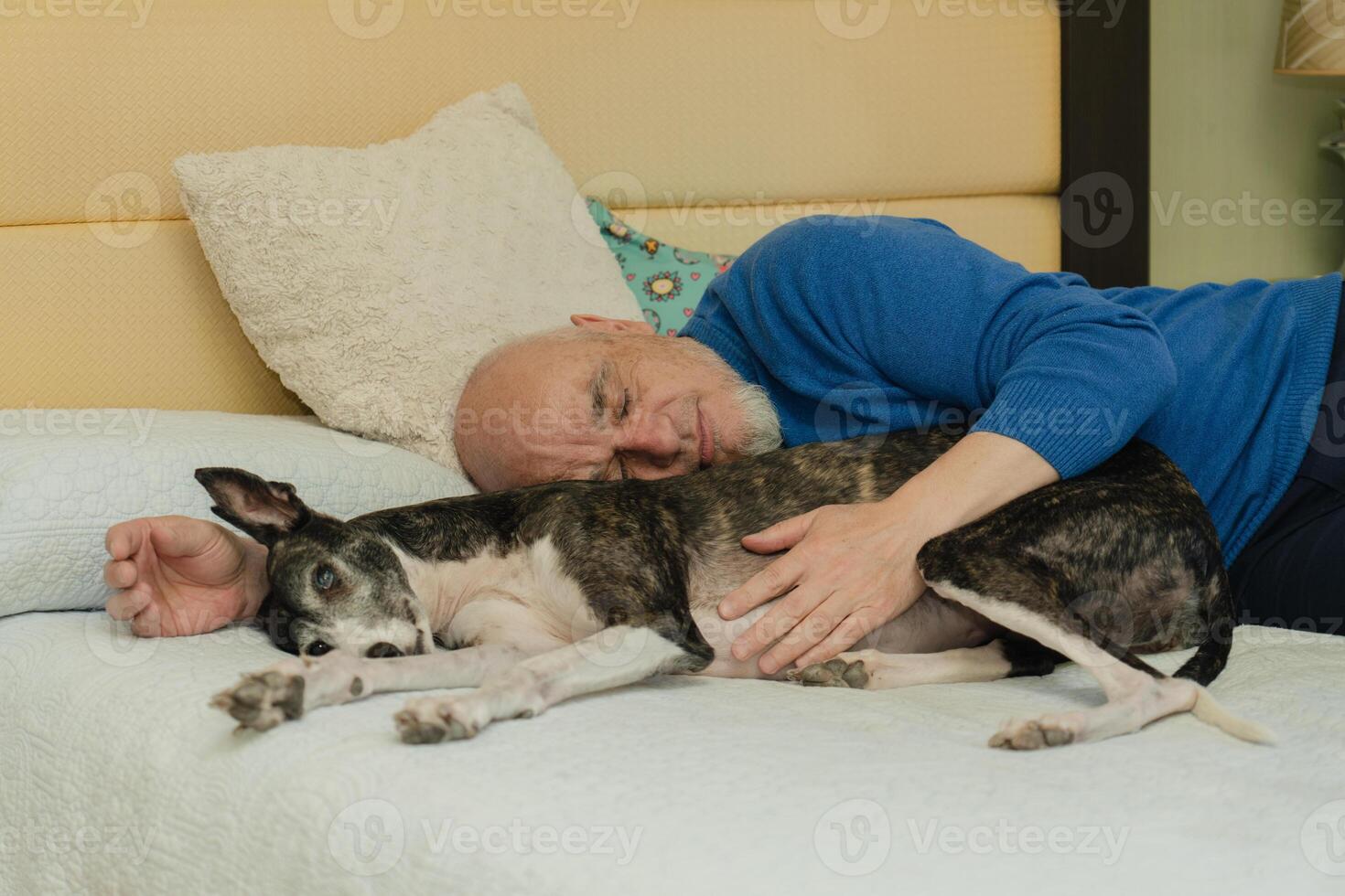 Elderly Man Napping with His Greyhound photo