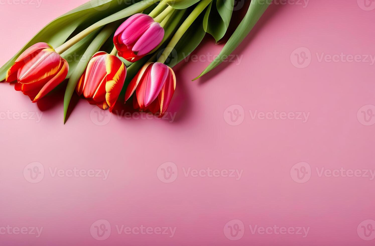 AI Generated Pink background with four tulips. Spring card with copy space. Concept for birthday, wedding, sign photo
