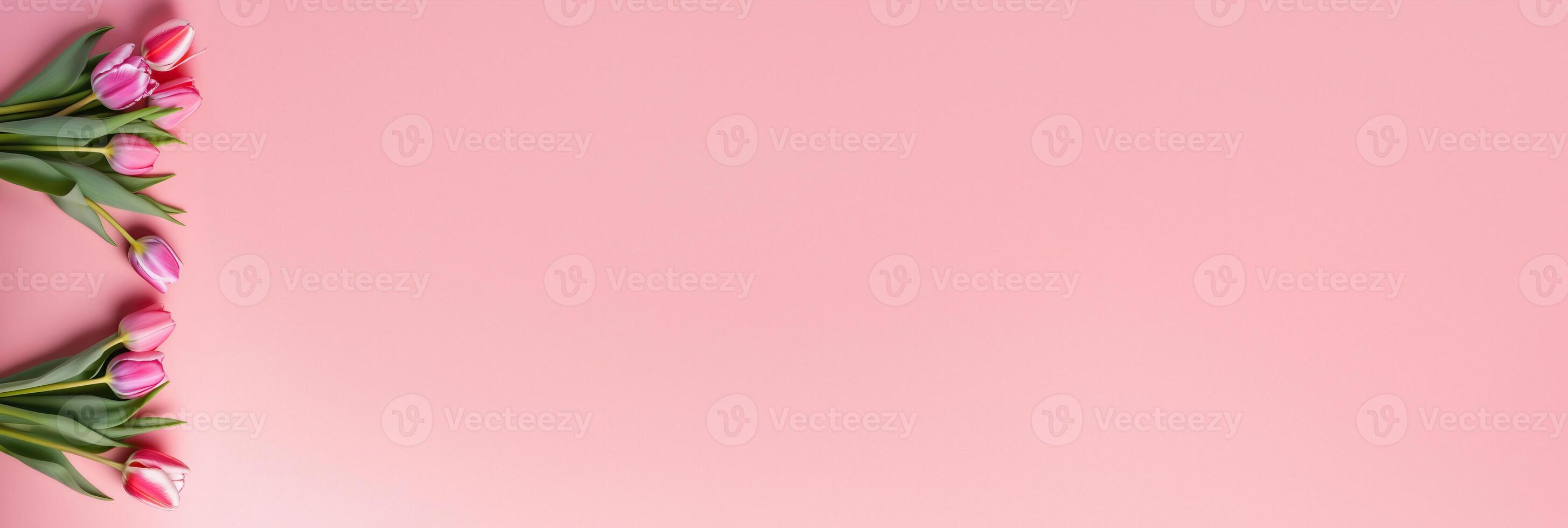 AI Generated Two bouquets of delicate pink tulip bouquets on a pink banner. Banner with space for text photo