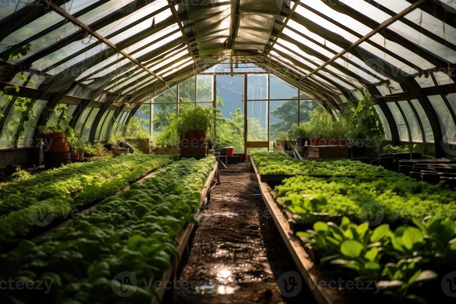 AI generated Organic farm greenhouse. Generate ai photo