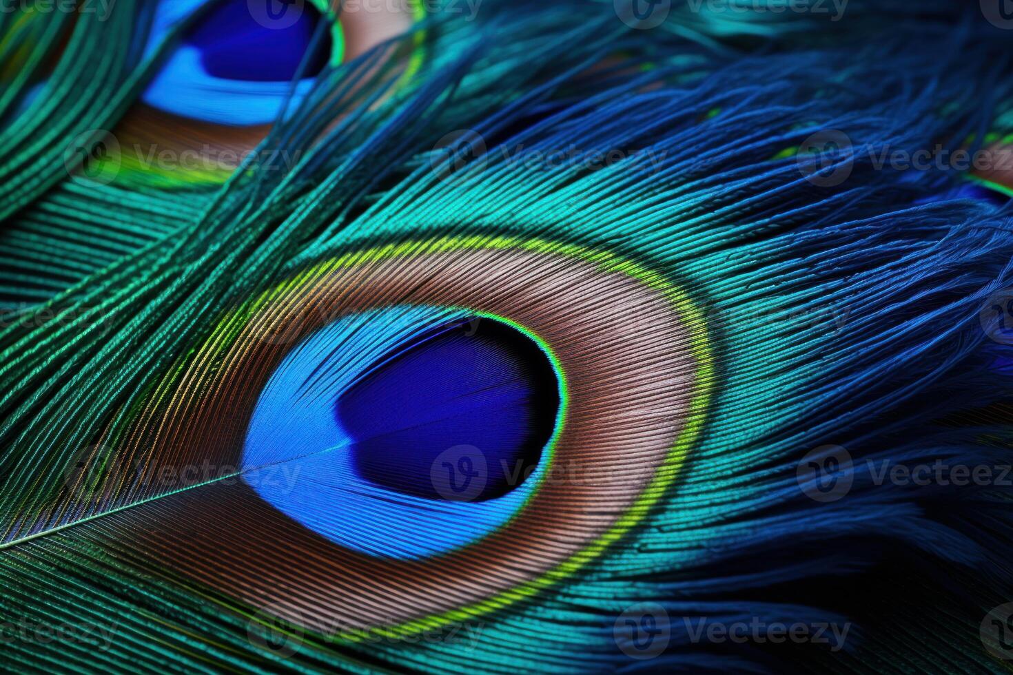 AI generated Colorful Peacock feather. Generate Ai photo