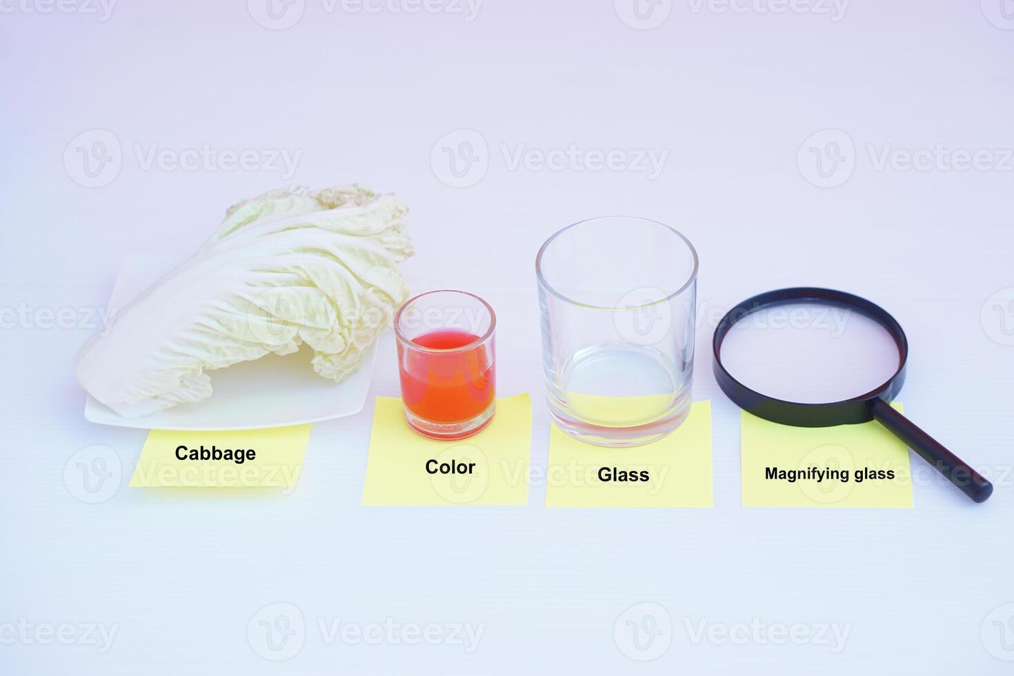 Equipment prepared for doing science experiment lesson.  Cabbage, color, glass and magnifying glass. Concept, science lesson activity. Easy experiment for learning. photo