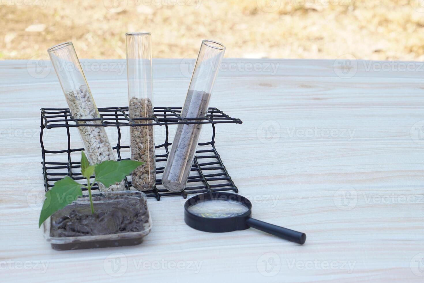Test tubes that contain sample soil. Concept, soil quality inspection, research and science experiment. Laboratory. Find the best from different soil type and source for growing agriculture crops photo