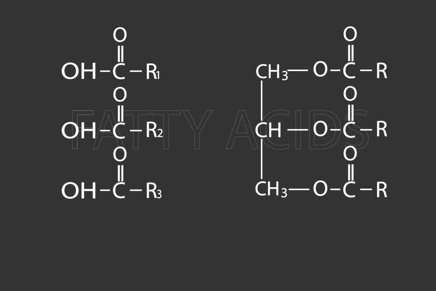 graso ácidos molecular esquelético químico fórmula vector