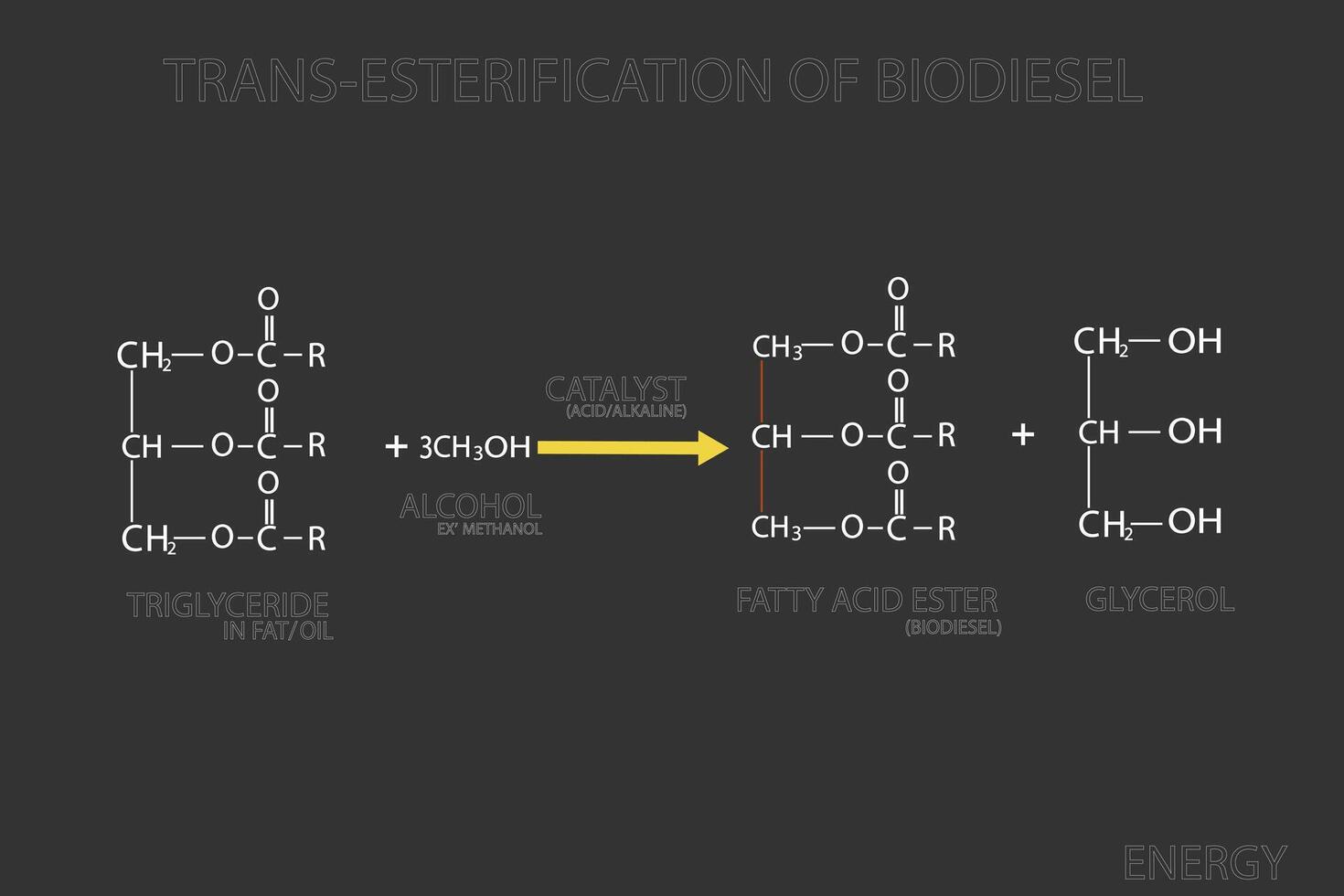 Trans-esterification of biodiesel molecular skeletal chemical formula vector