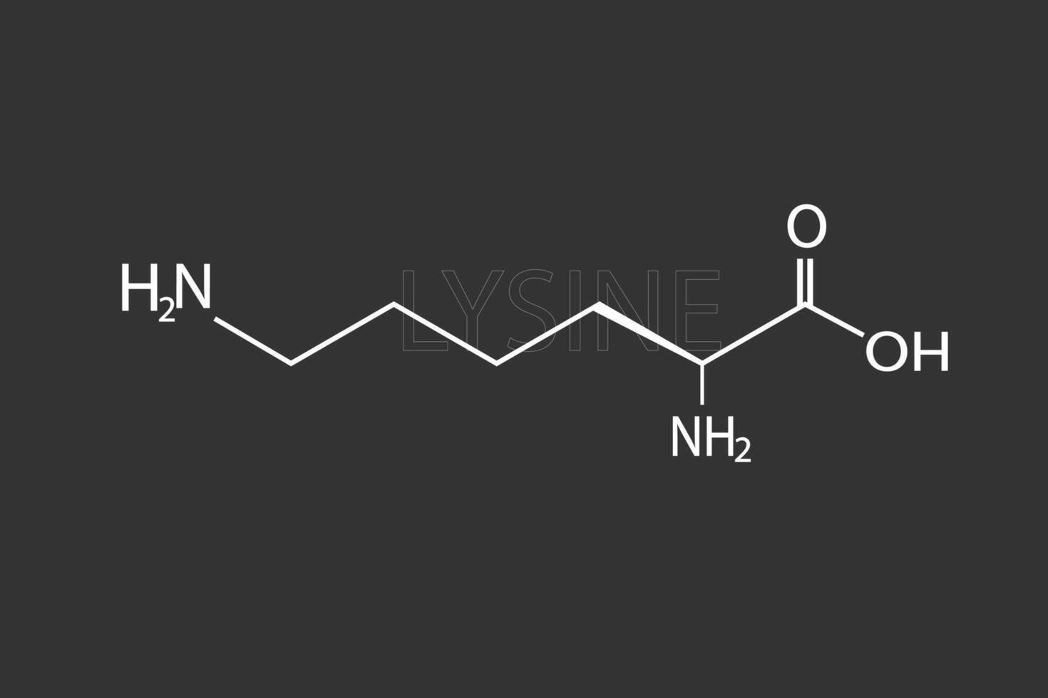 lisina molecular esquelético químico fórmula vector