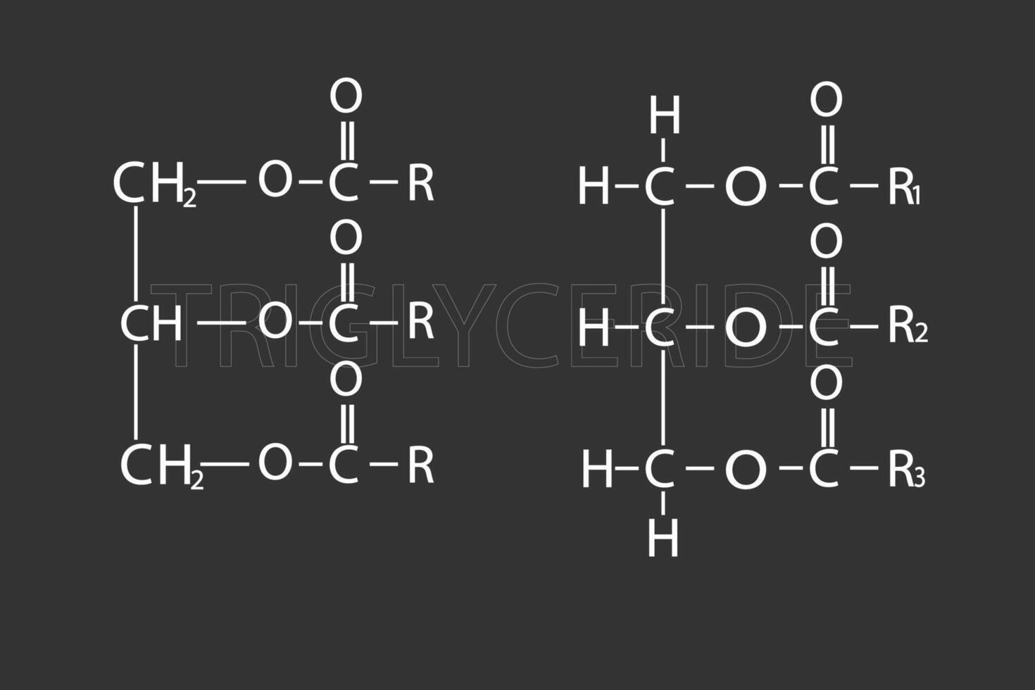 triglicirido molecular esquelético químico fórmula vector