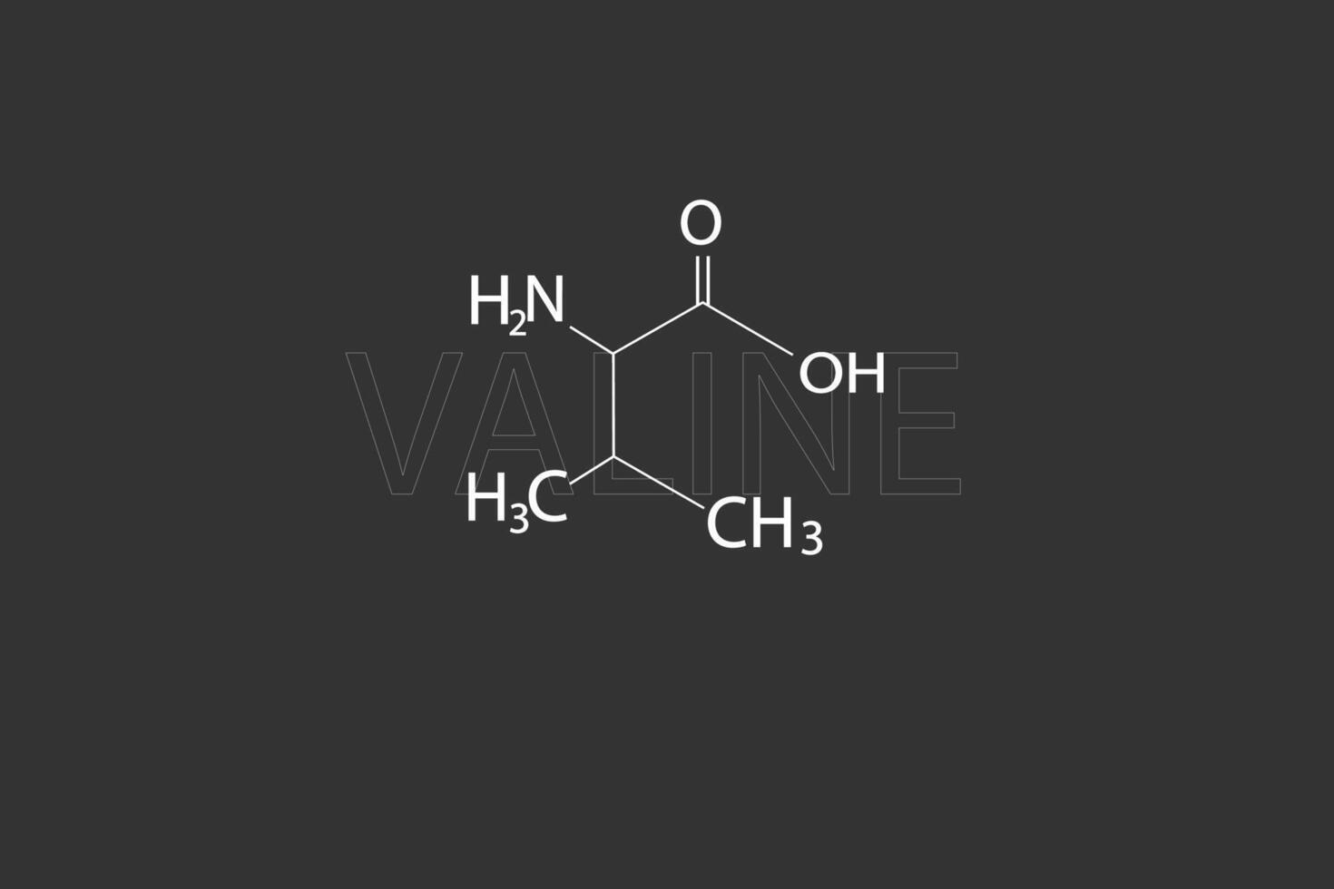 valina molecular esquelético químico fórmula vector