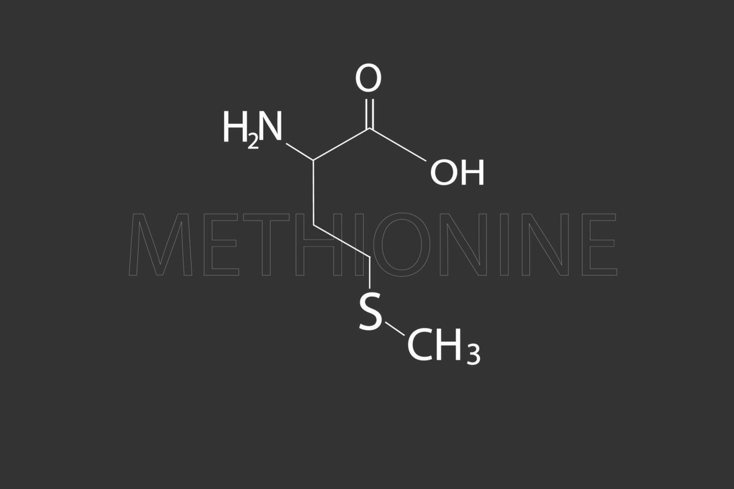 metionina molecular esquelético químico fórmula vector