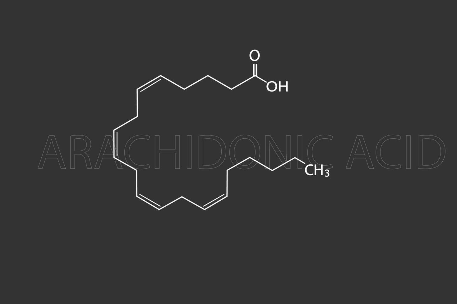 Arachidonic acid molecular skeletal chemical formula vector