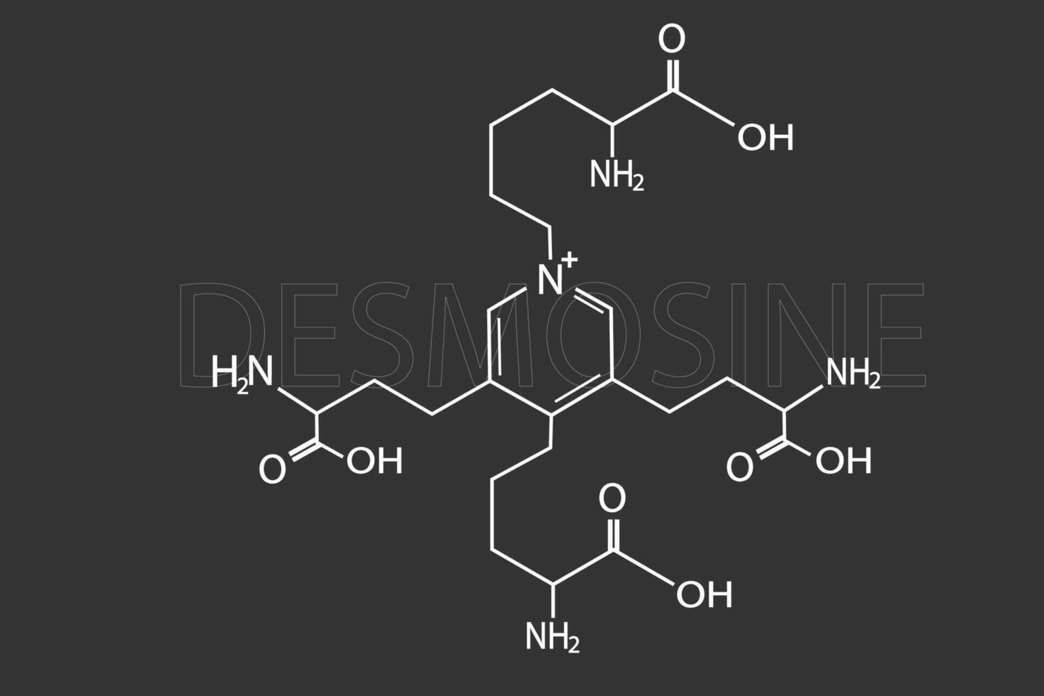 desmosina molecular esquelético químico fórmula vector