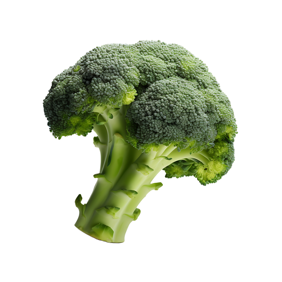 AI generated Transparent Fresh Broccoli on a Clear Surface png