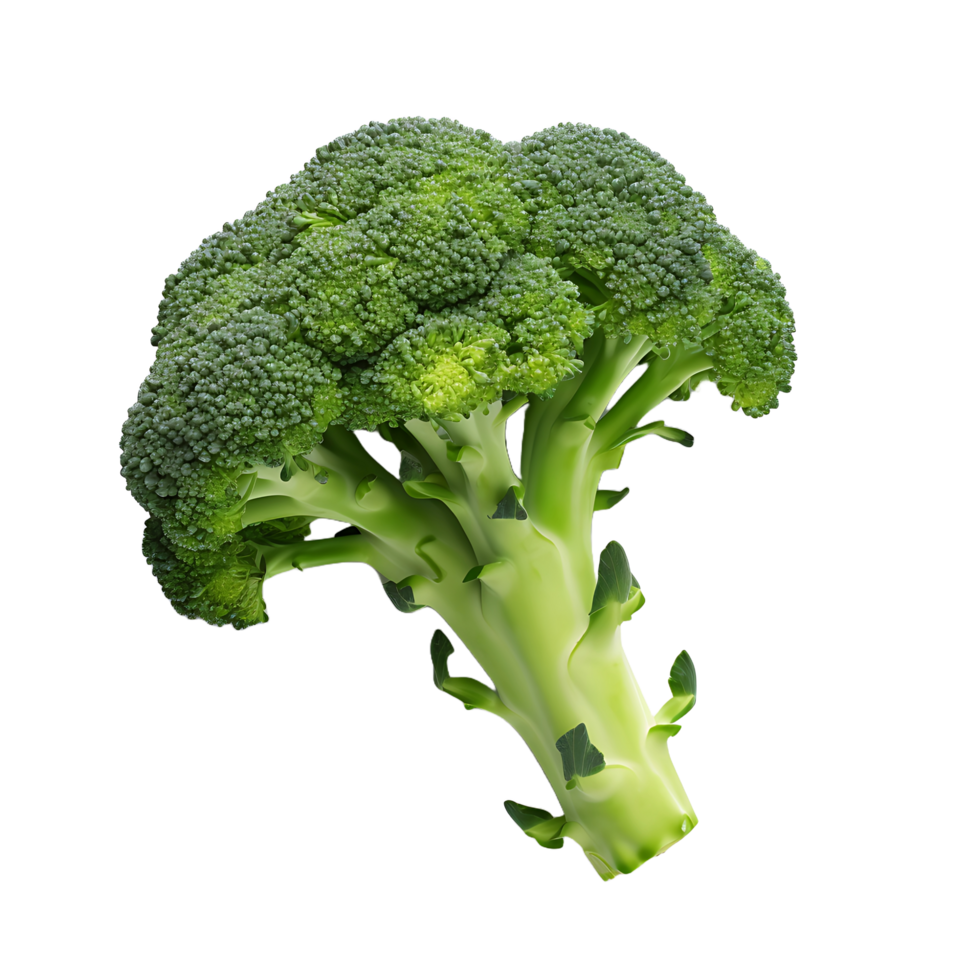 AI generated Fresh Broccoli in PNG No Distractions
