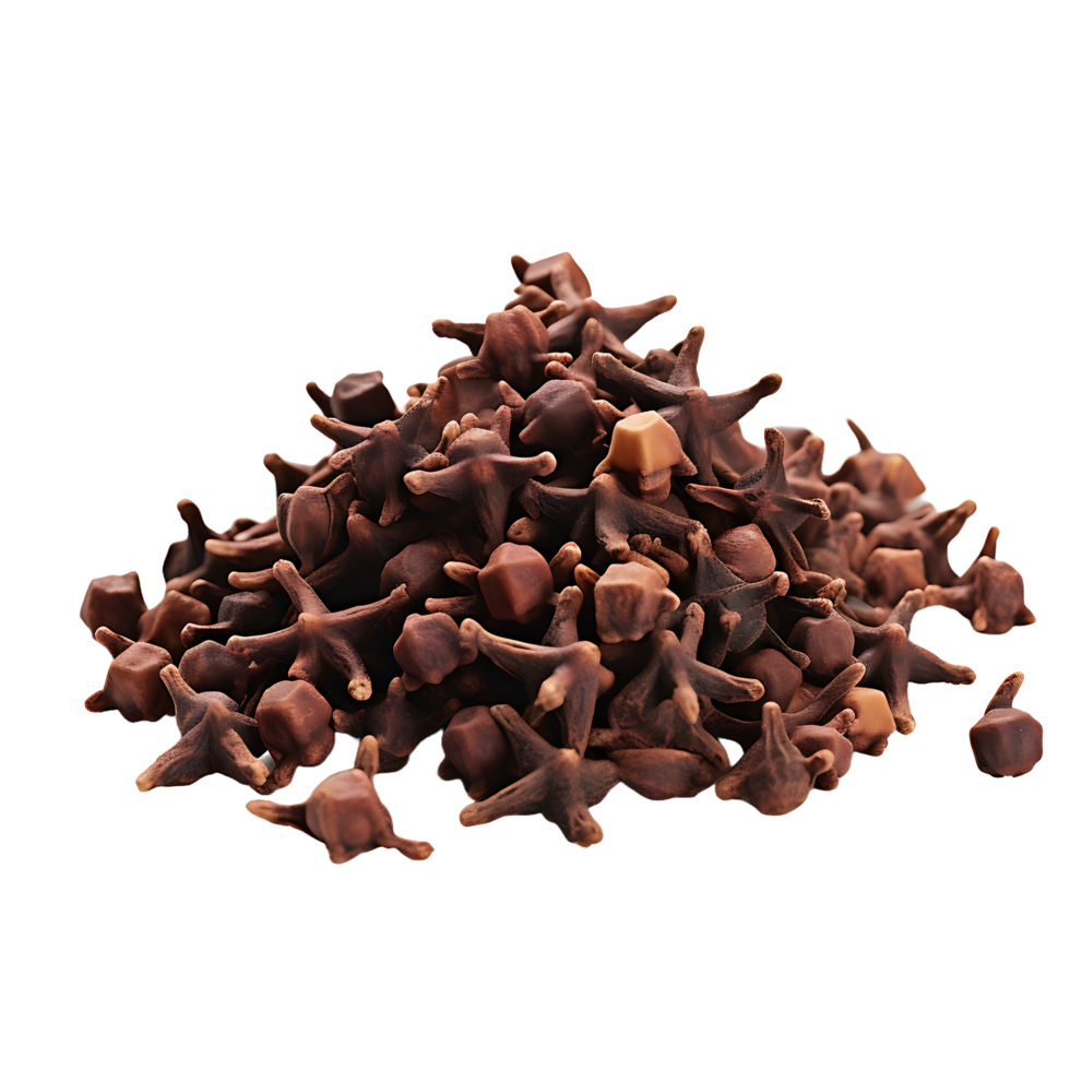 AI generated Cloves on a Transparent Canvas png