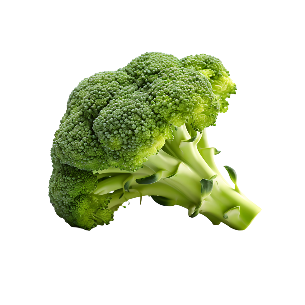 AI generated Clear Background showcasing Fresh Broccoli Vibrancy png