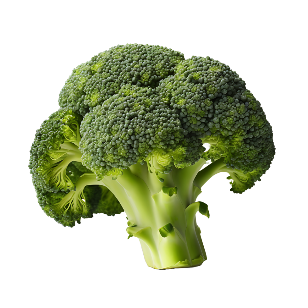 AI generated See Through Fresh Broccoli Presentation png