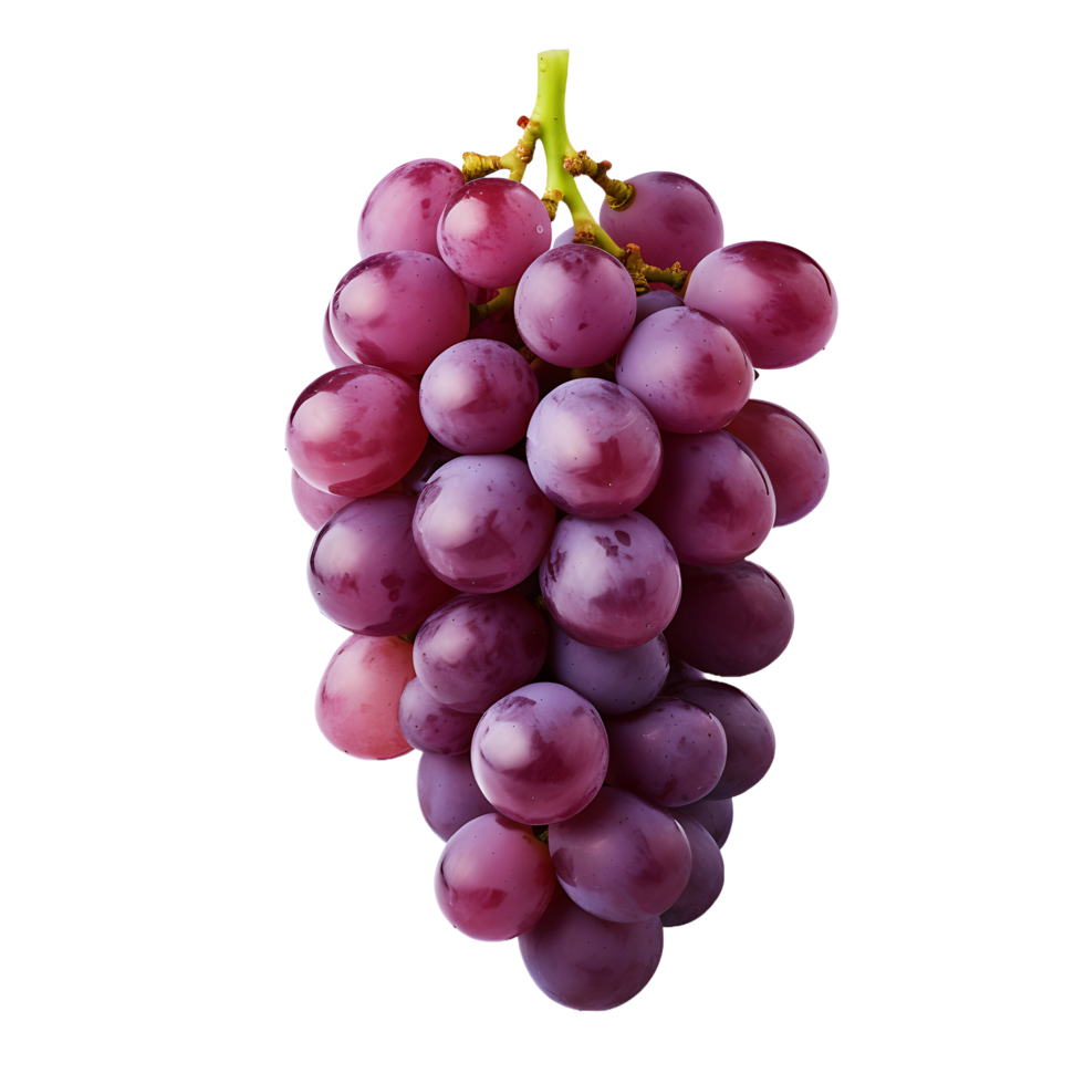 AI generated Grape in PNG  No Distractions