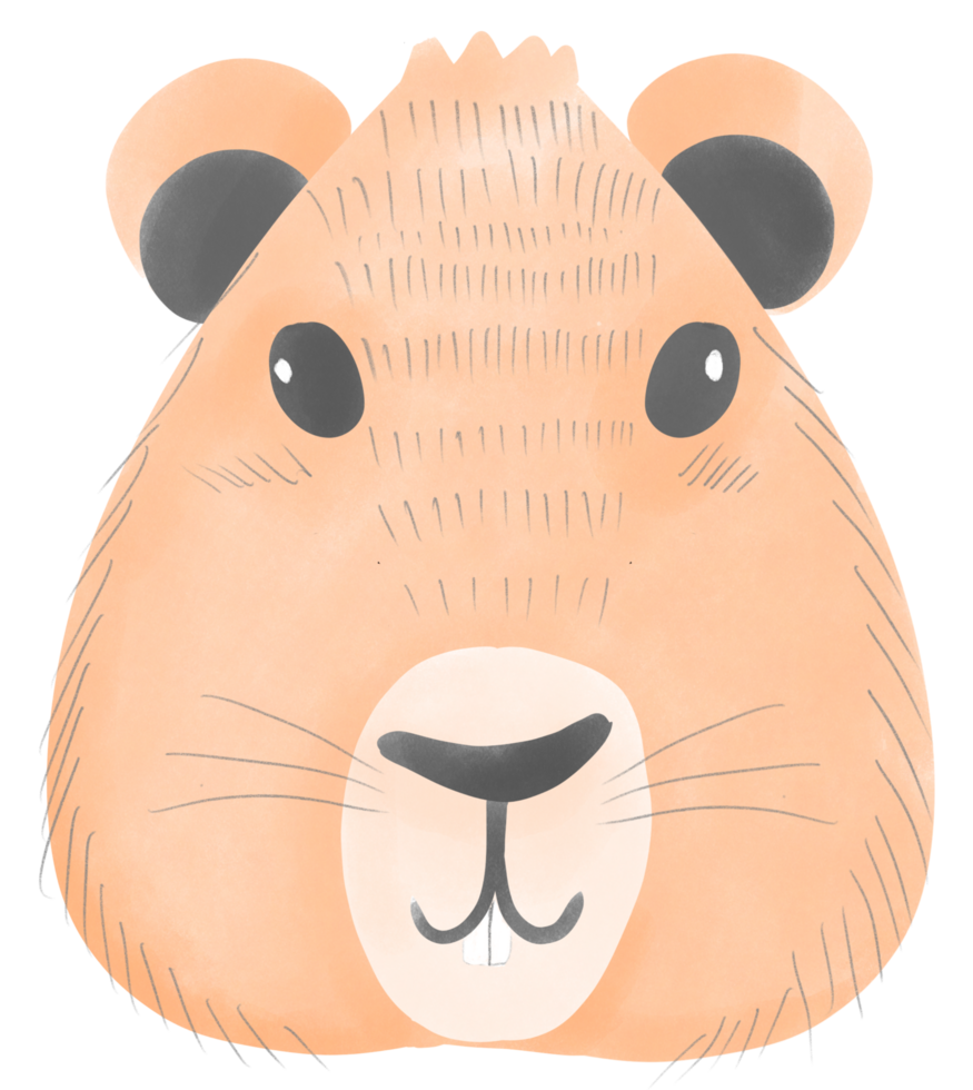 Groundhog cute animal png