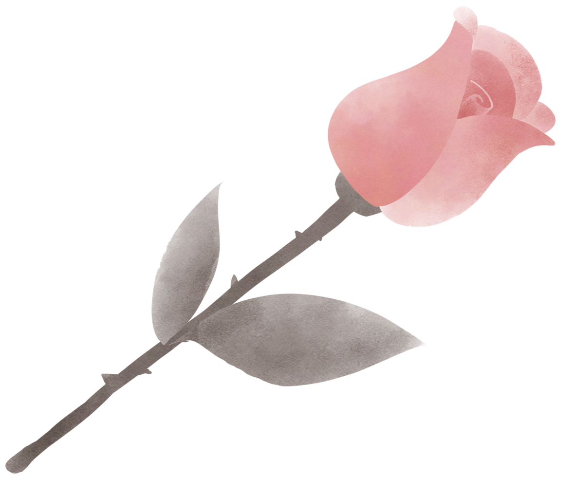 Valentine set illustrations png