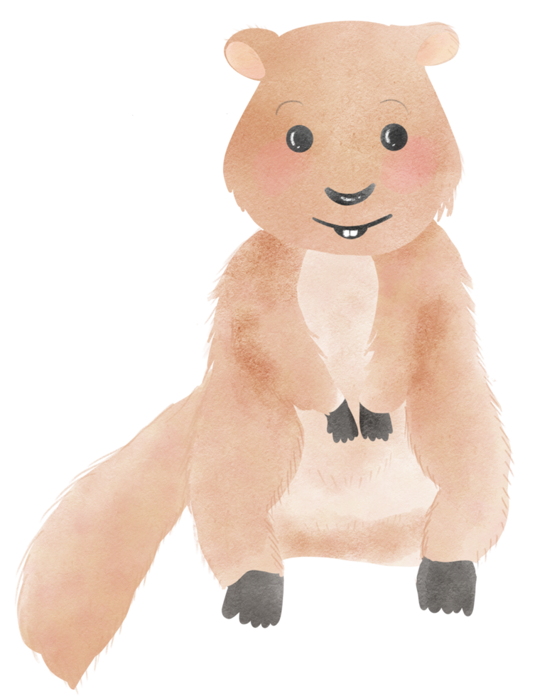 Groundhog cute animal png