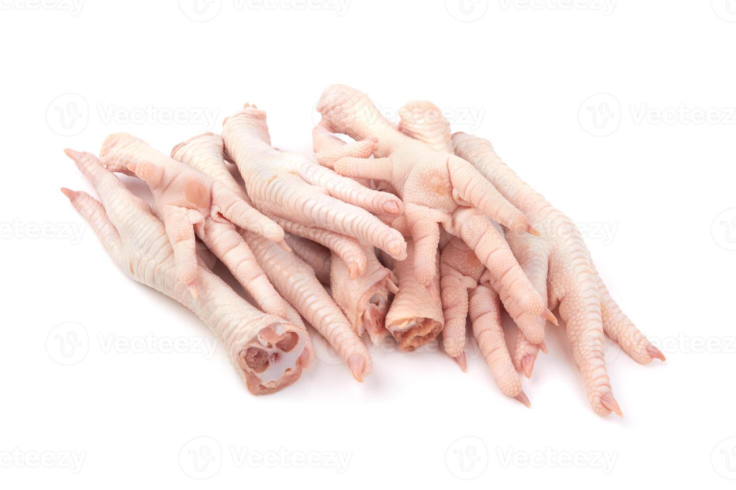Raw chicken feet photo