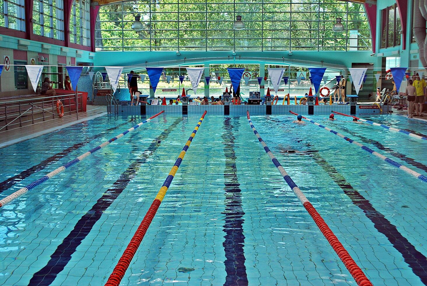Swimming in the swimming pool photo