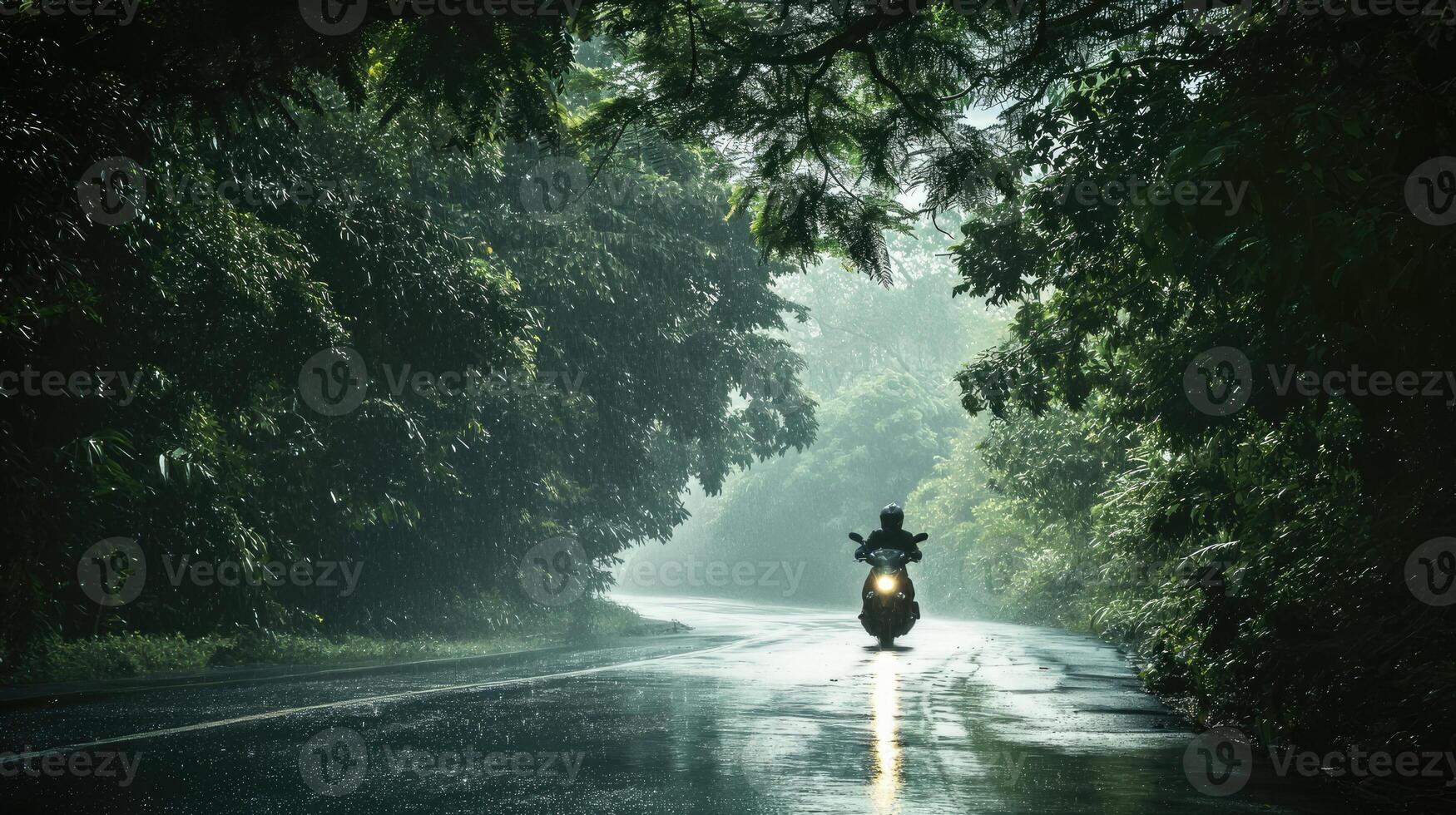 AI generated a motorbike driver navigating through the rain on a densely tree-lined road, the shimmering raindrops and lush foliage creating a captivating ambiance of nature's embrace photo