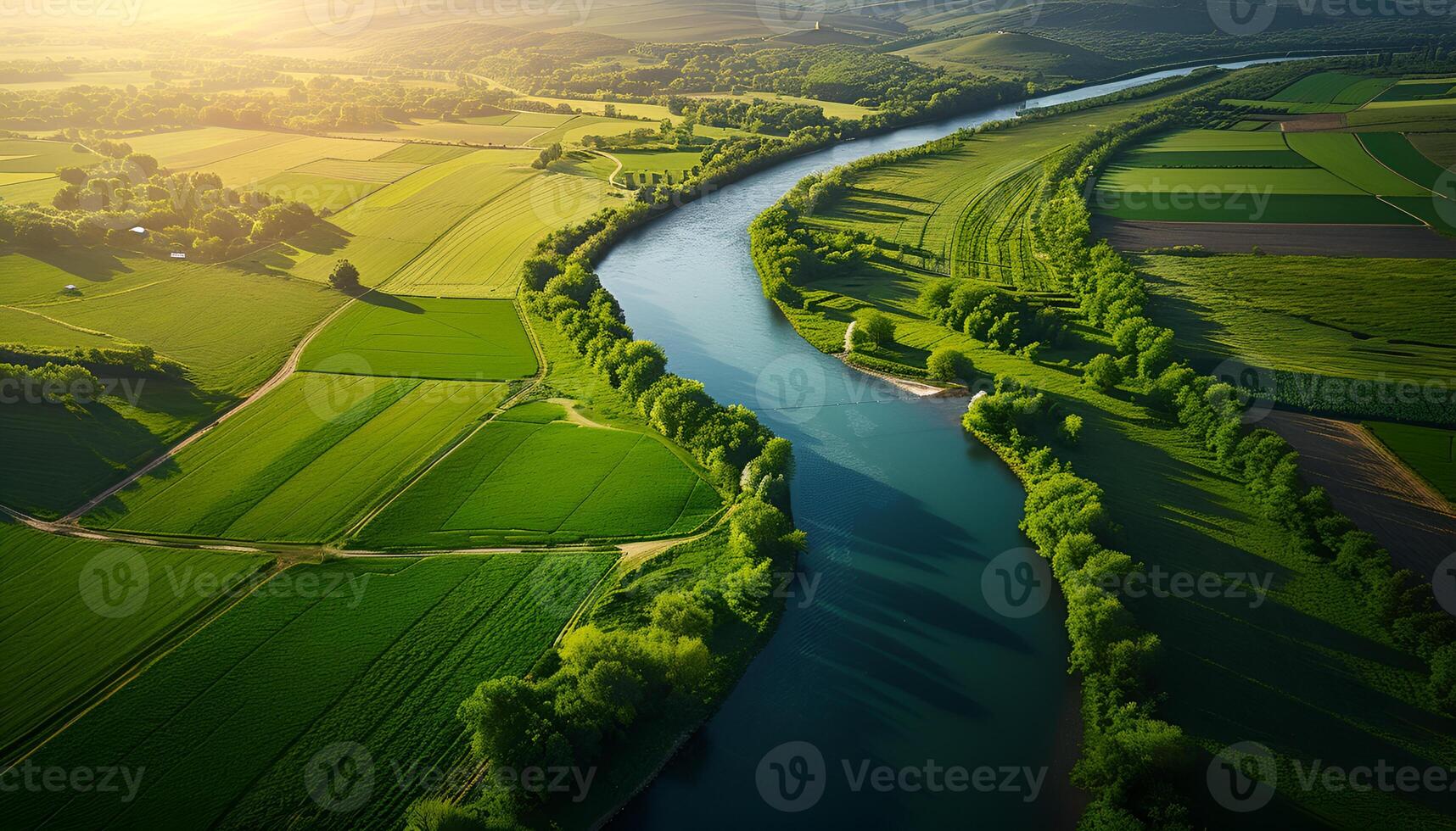 AI generated Aerial view of cultivated agricultural photo