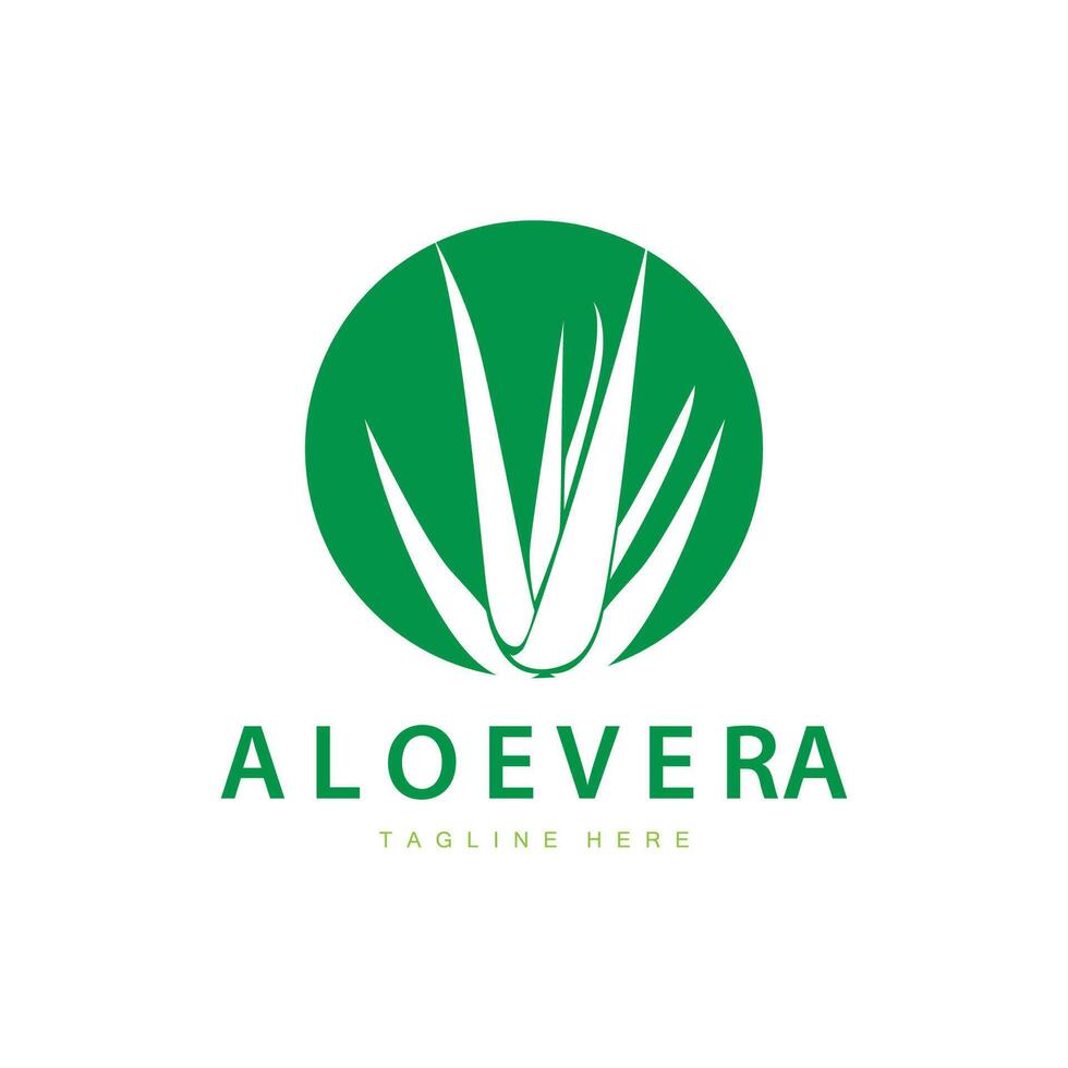 áloe vera logo cosmético diseño sencillo verde planta salud símbolo vector ilustración