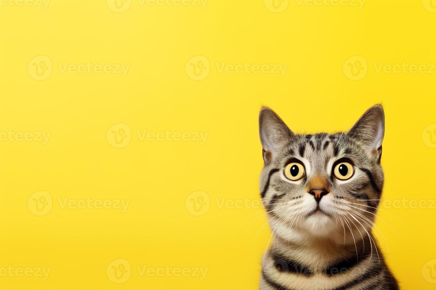 AI generated Cute, surprised cat with large, captivating eyes on yellow background. Ideal for promotions, great deals or offers. Good price, Black Friday, discount. Copy space for text. Amazed pet. photo