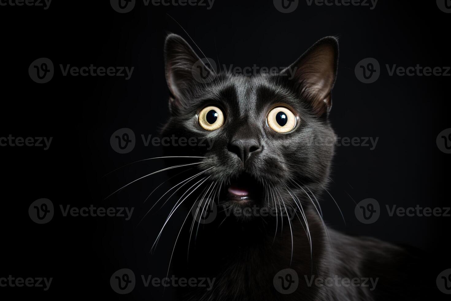 AI generated Black surprised cat with large, captivating eyes on black background. Ideal for promotions, great deals or offers. Good price, Black Friday, discount. Amazed pet. Generative AI. photo