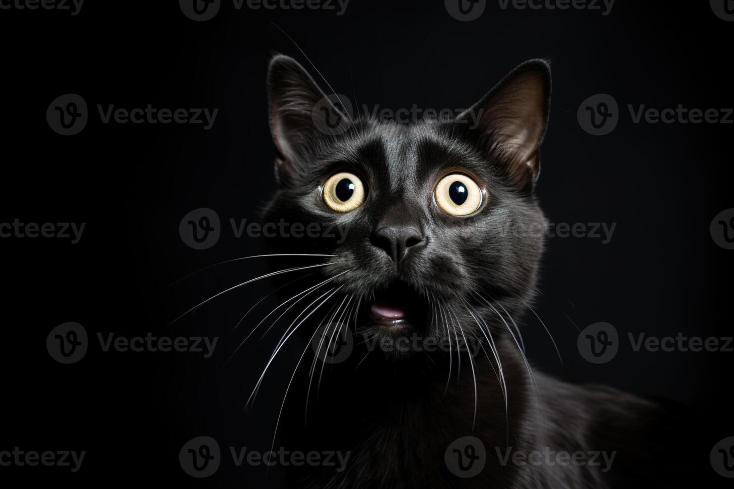 ai generado negro sorprendido gato con grande, cautivador ojos en negro antecedentes. ideal para promociones, genial ofertas o ofertas bueno precio, negro viernes, descuento. asombrado mascota. generativo ai. foto