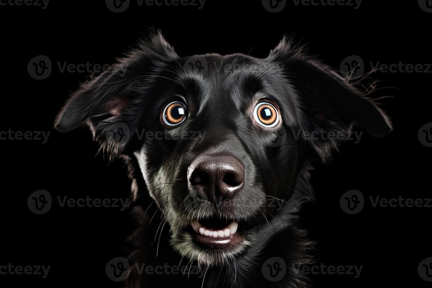 AI generated Black surprised dog photo