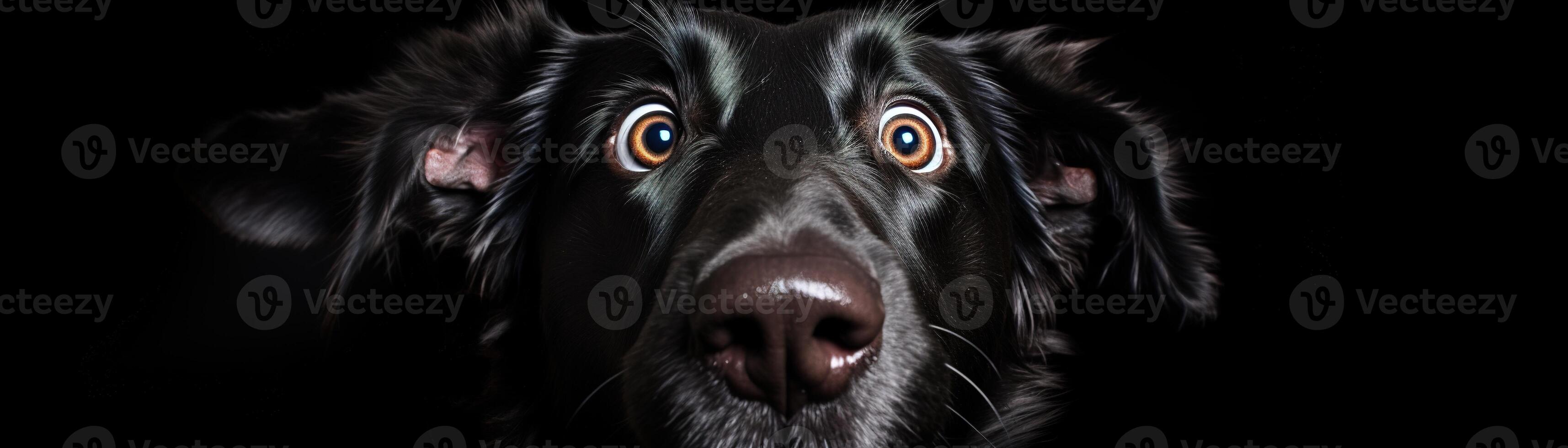 AI generated Cute, surprised dog with large, captivating eyes on black background. Ideal for promotions, great deals or offers. Good price, Black Friday, discount. Amazed pet. Panoramic banner. photo